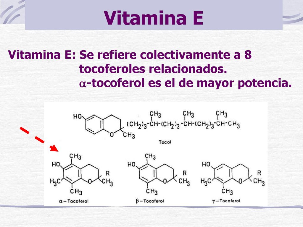Vitamina E Vitamina E: Se refiere colectivamente a 8 tocoferoles relacionados.