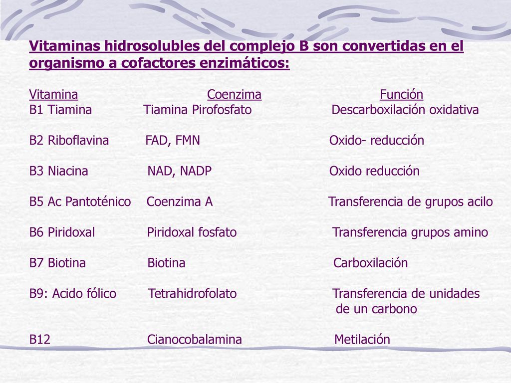 Vitaminas hidrosolubles del complejo B son convertidas en el organismo a cofactores enzimáticos: