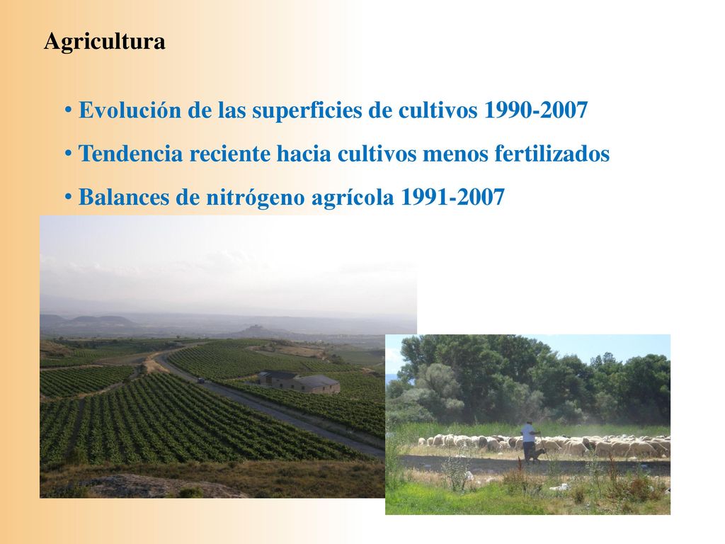 Agricultura Evolución de las superficies de cultivos Tendencia reciente hacia cultivos menos fertilizados.