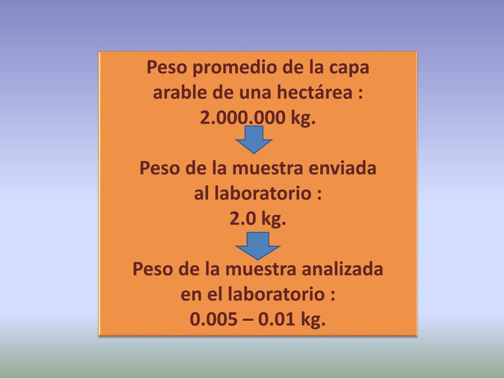 Peso promedio de la capa arable de una hectárea : kg.