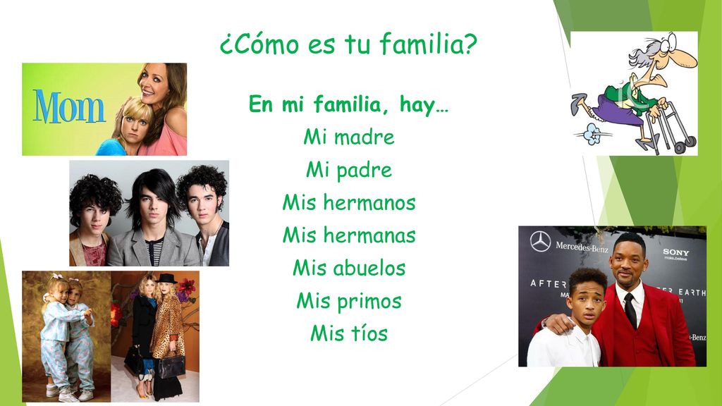 ¿Cómo es tu familia En mi familia, hay… Mi madre Mi padre