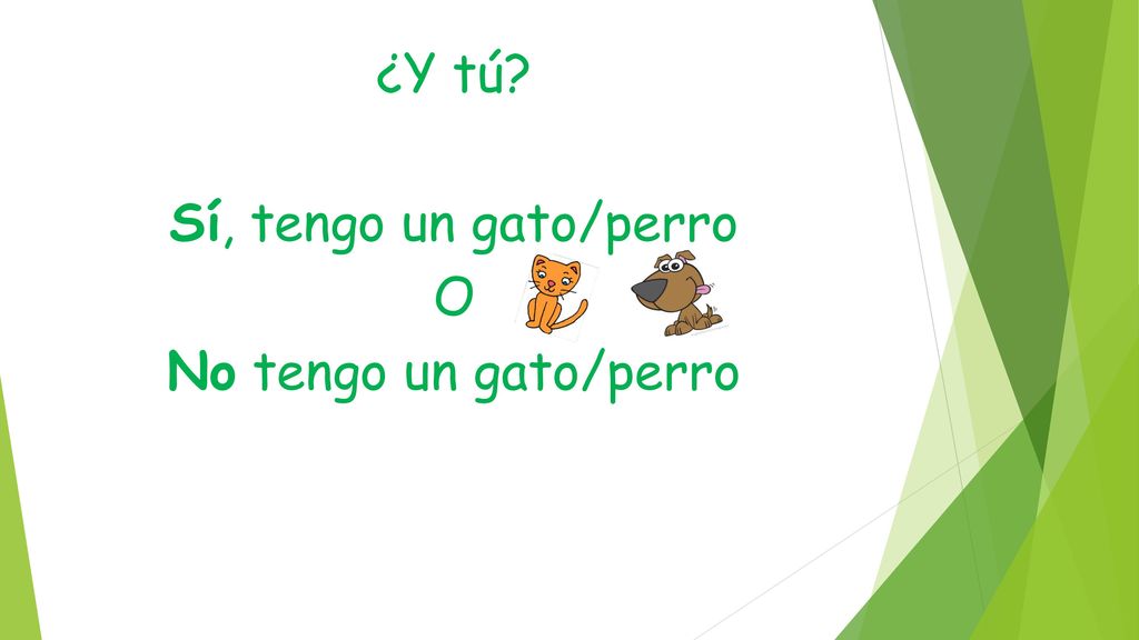 ¿Y tú Sí, tengo un gato/perro O No tengo un gato/perro
