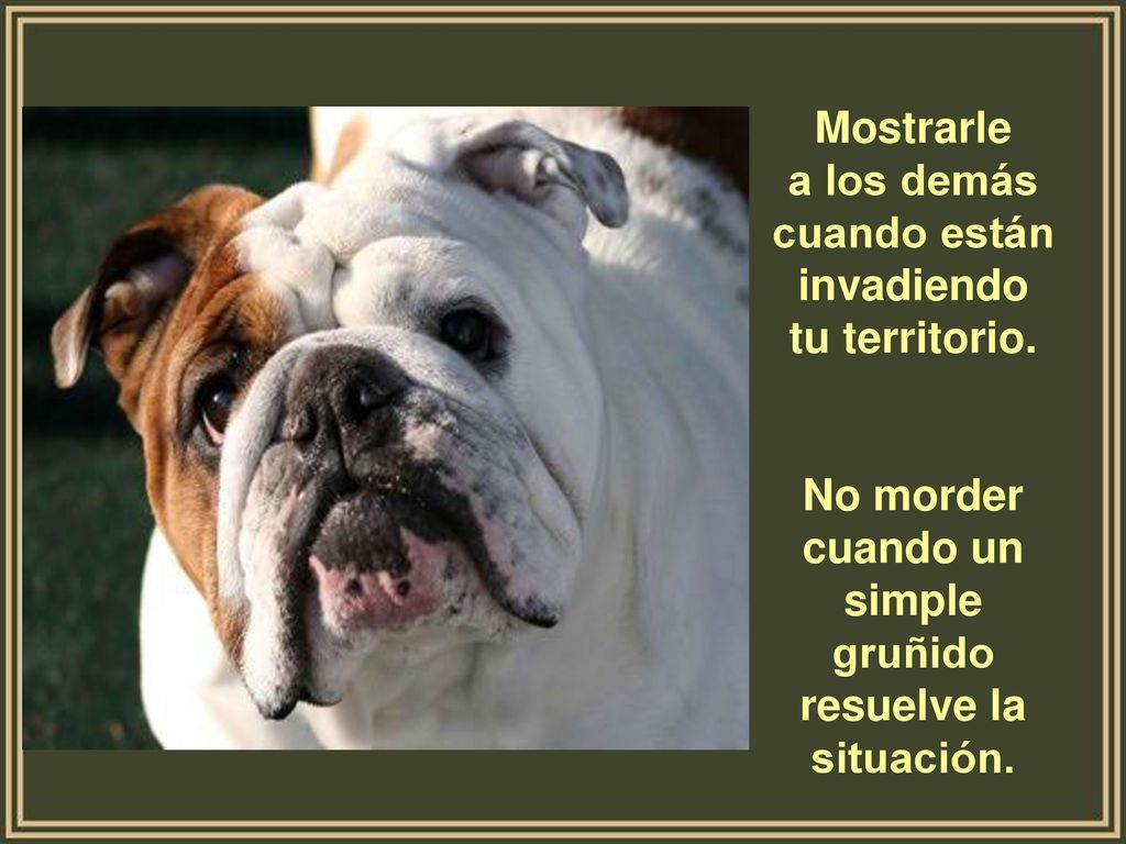 Mostrarle a los demás cuando están invadiendo tu territorio.