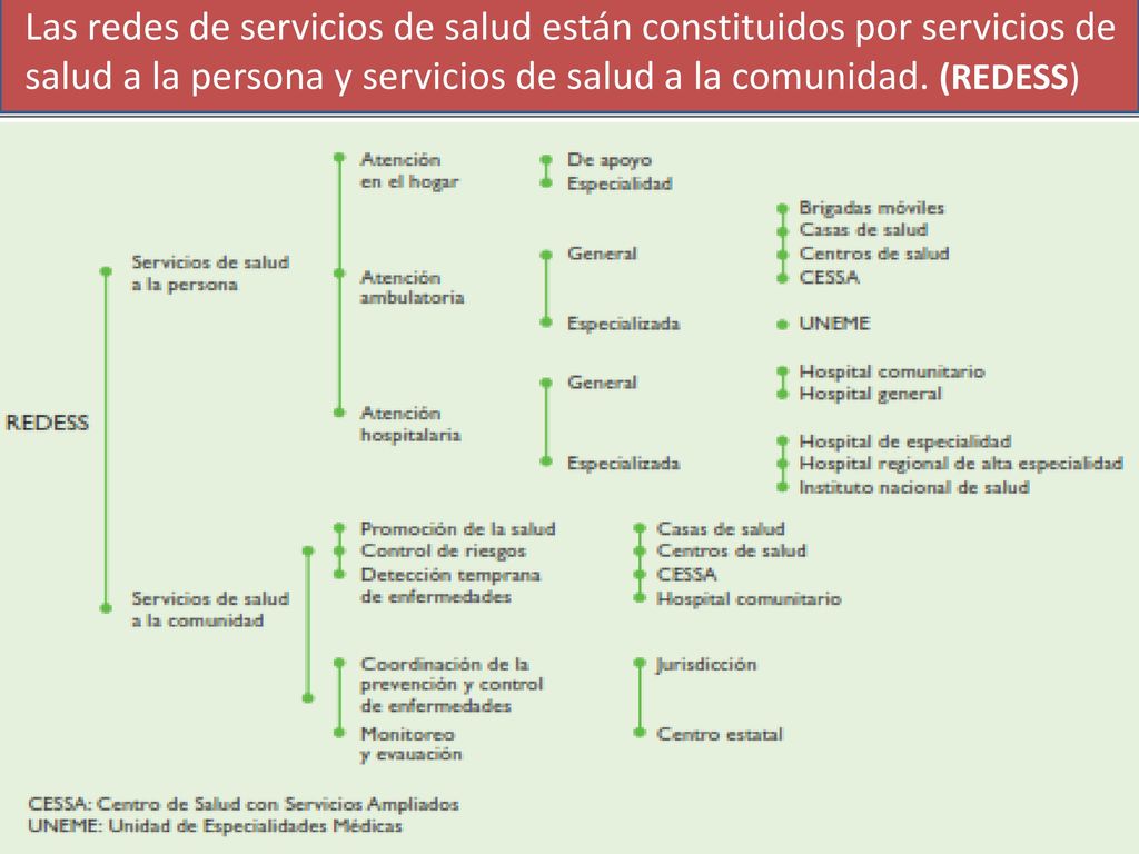 Las redes de servicios de salud están constituidos por servicios de salud a la persona y servicios de salud a la comunidad.