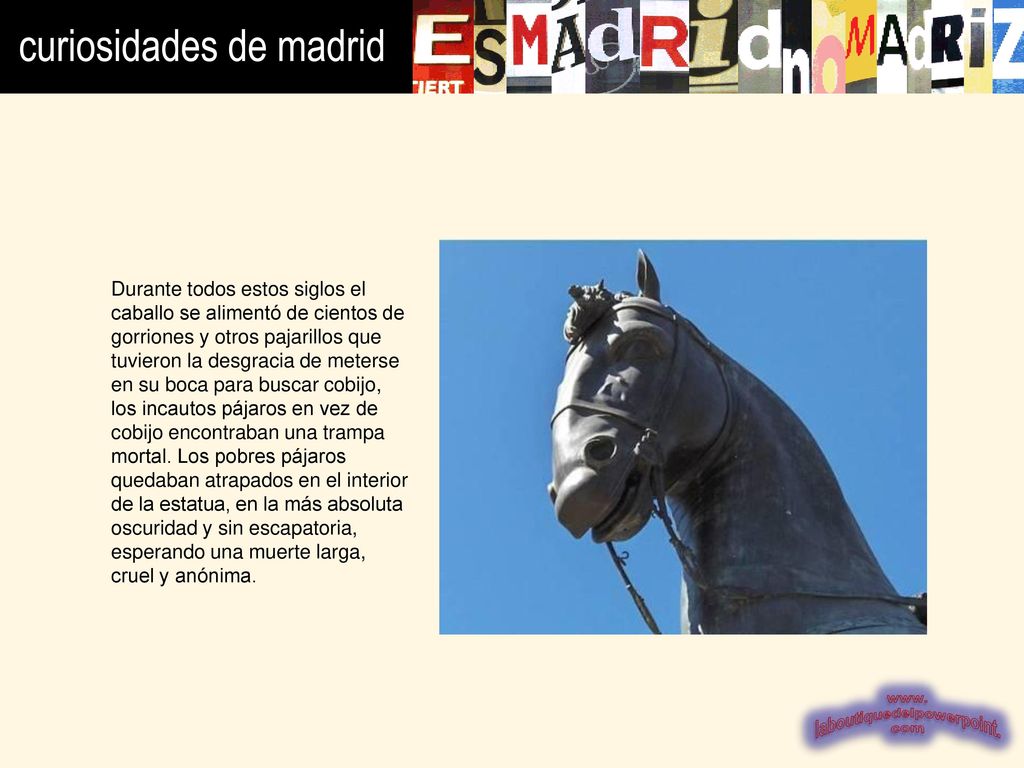 Durante todos estos siglos el caballo se alimentó de cientos de gorriones y otros pajarillos que tuvieron la desgracia de meterse en su boca para buscar cobijo, los incautos pájaros en vez de cobijo encontraban una trampa mortal.