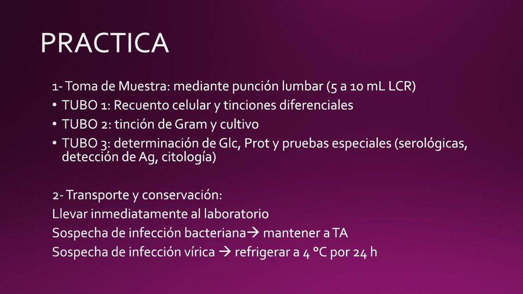 PRACTICA 1- Toma de Muestra: mediante punción lumbar (5 a 10 mL LCR)
