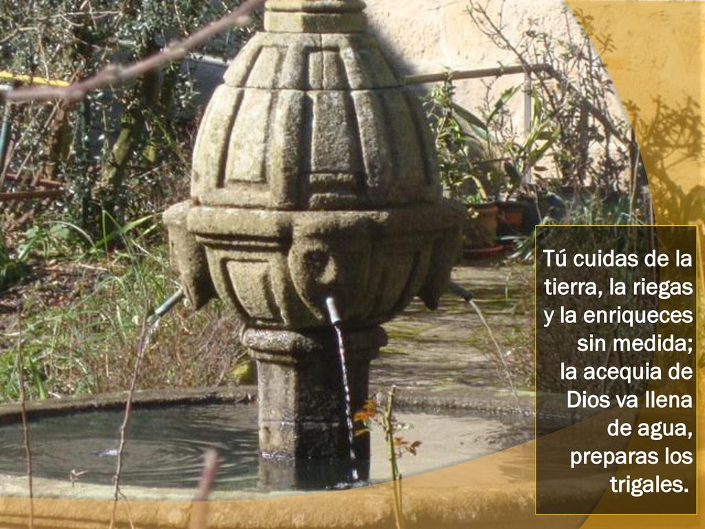 Tú cuidas de la tierra, la riegas y la enriqueces sin medida; la acequia de Dios va llena de agua, preparas los trigales.