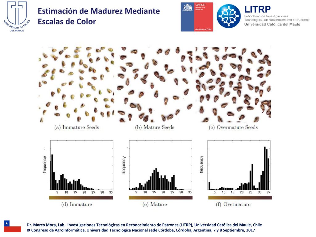 Estimación de Madurez Mediante Escalas de Color