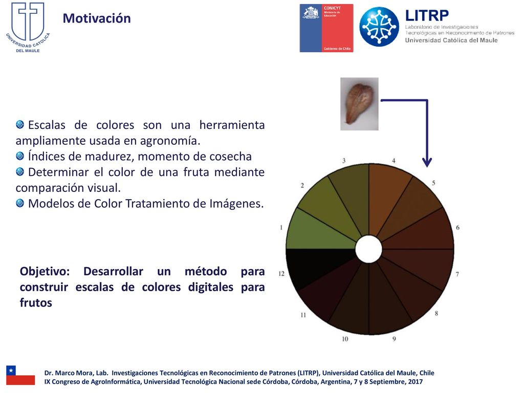Motivación Escalas de colores son una herramienta ampliamente usada en agronomía. Índices de madurez, momento de cosecha.