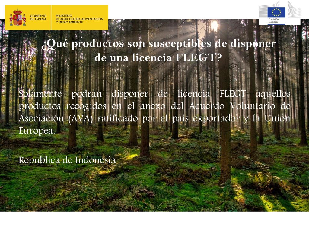 ¿Qué productos son susceptibles de disponer de una licencia FLEGT