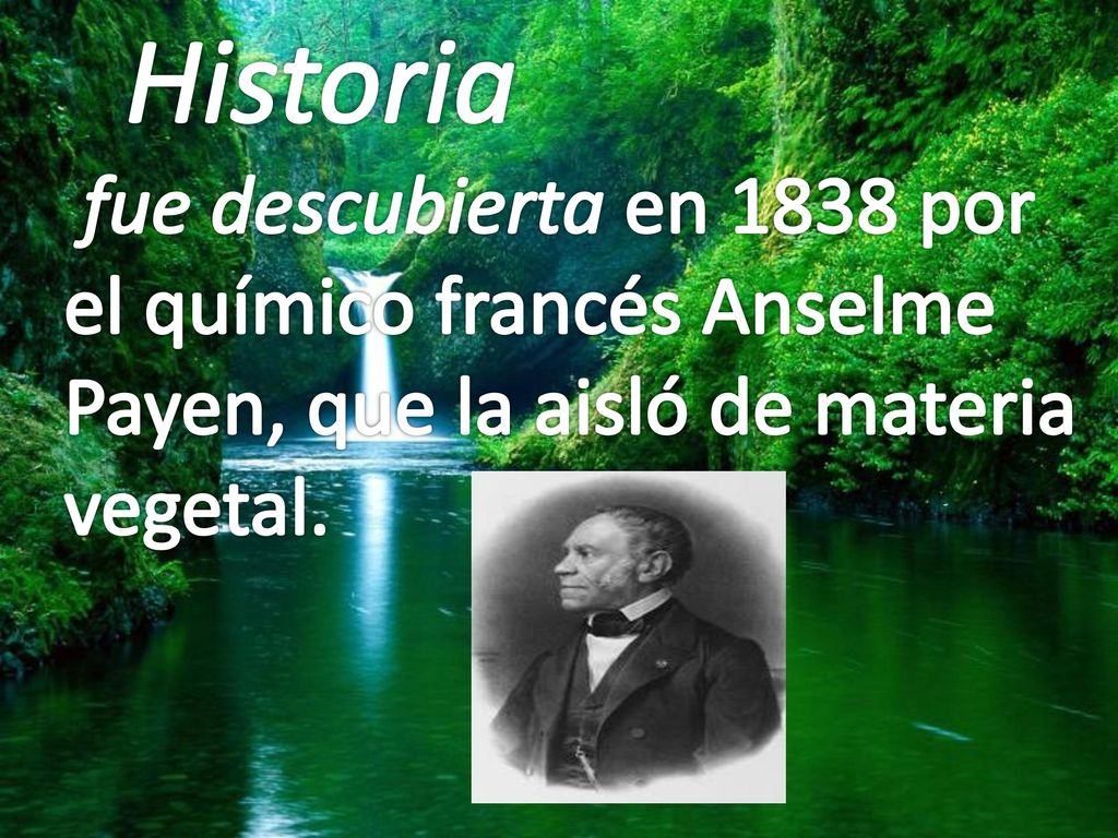 Historia fue descubierta en 1838 por el químico francés Anselme Payen, que la aisló de materia vegetal.