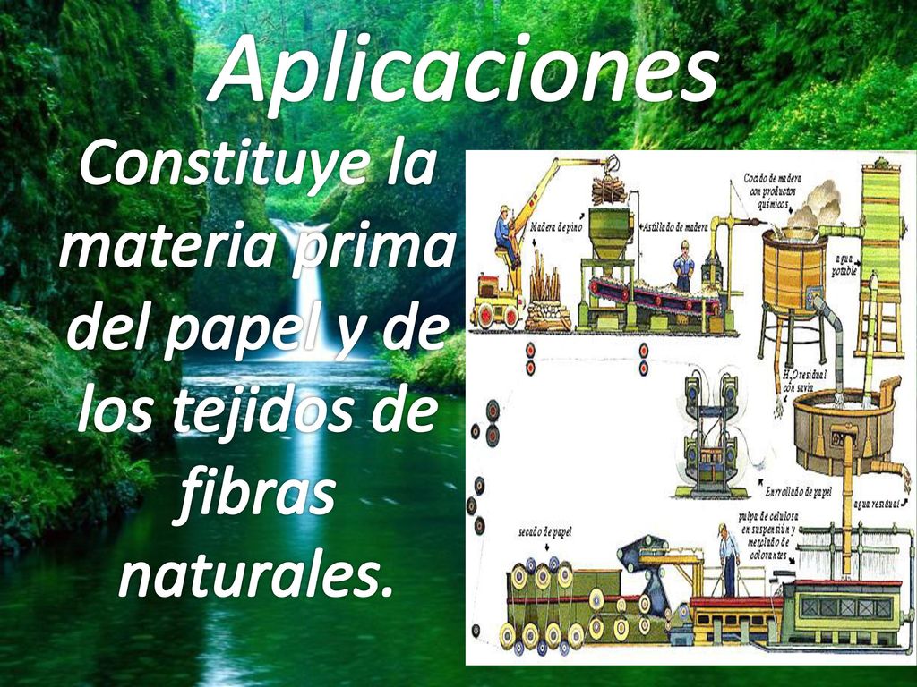 Aplicaciones Constituye la materia prima del papel y de los tejidos de fibras naturales.