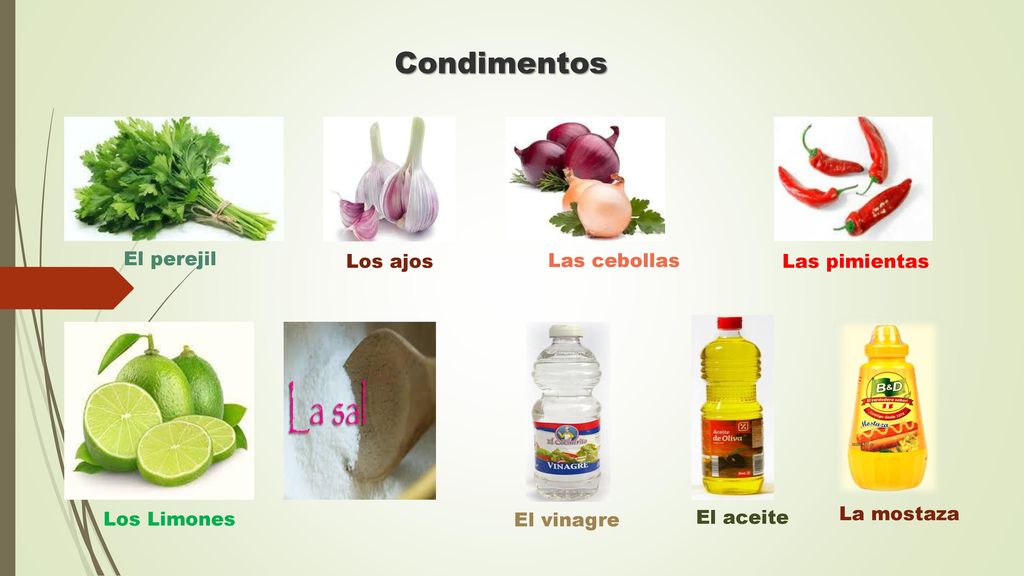 Condimentos El perejil Los ajos Las cebollas Las pimientas La mostaza