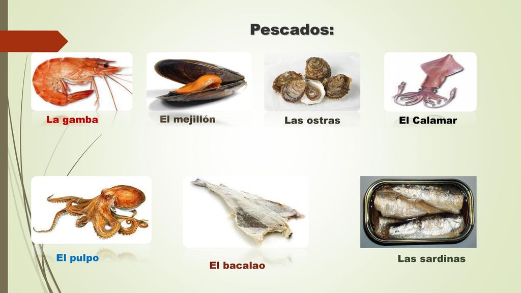 Pescados: La gamba El mejillón Las ostras El Calamar El pulpo