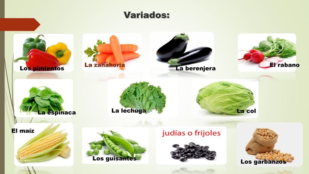 Variados: La zanahoria El rabano Los pimientos La berenjera La lechuga