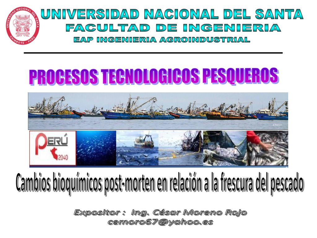 Cambios bioquímicos post-morten en relación a la frescura del pescado
