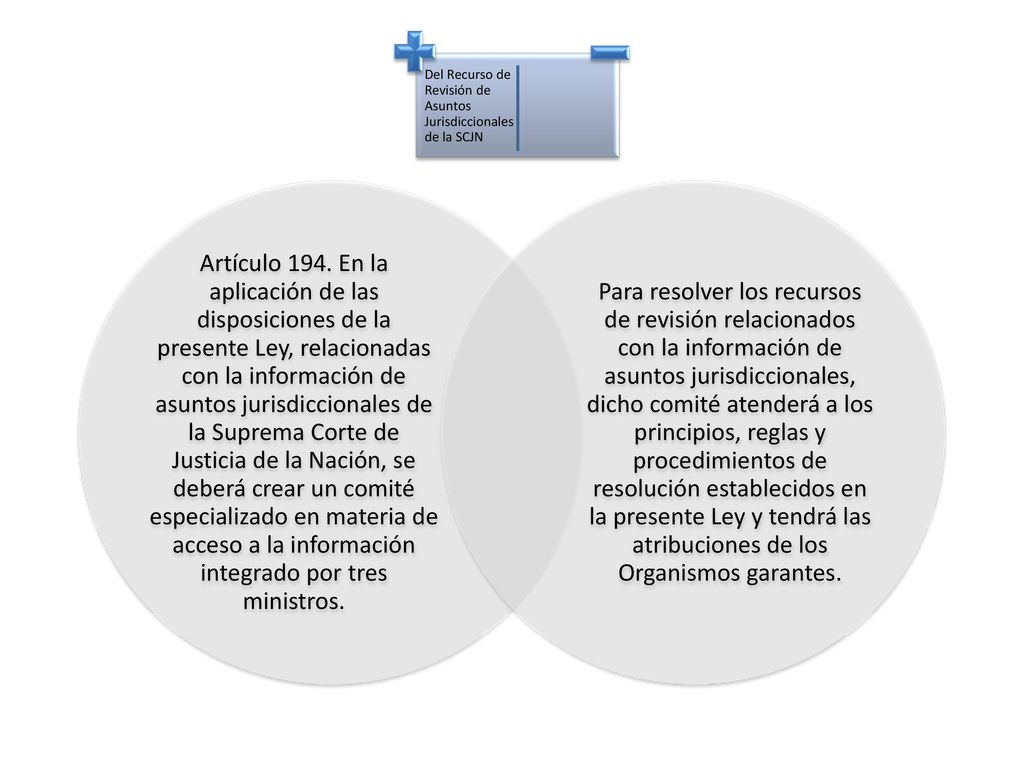 Del Recurso de Revisión de Asuntos Jurisdiccionales de la SCJN