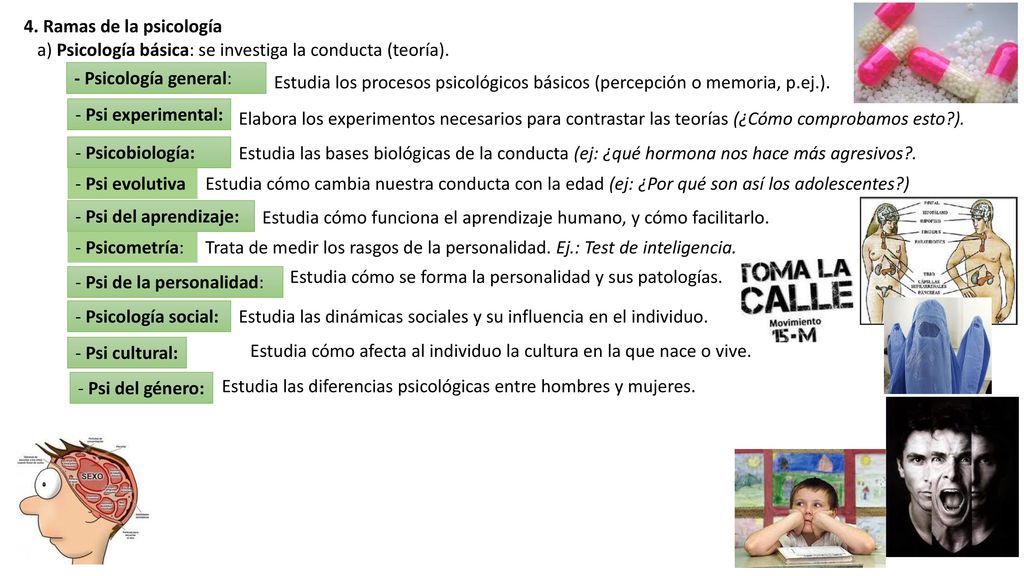 4. Ramas de la psicología a) Psicología básica: se investiga la conducta (teoría). - Psicología general: