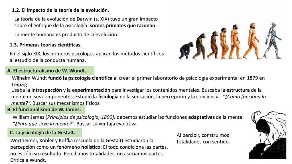 1.2. El impacto de la teoría de la evolución.