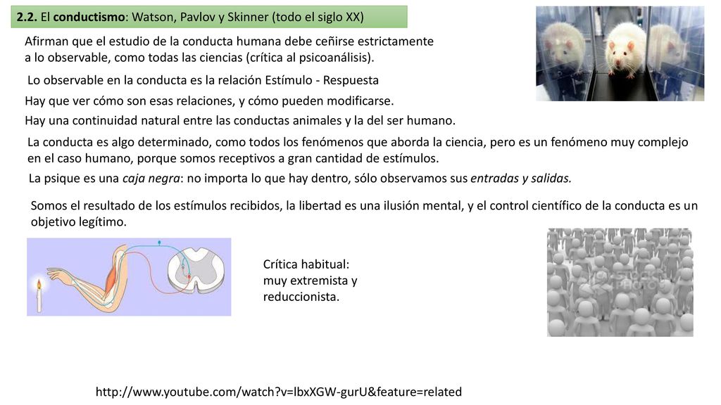 2.2. El conductismo: Watson, Pavlov y Skinner (todo el siglo XX)