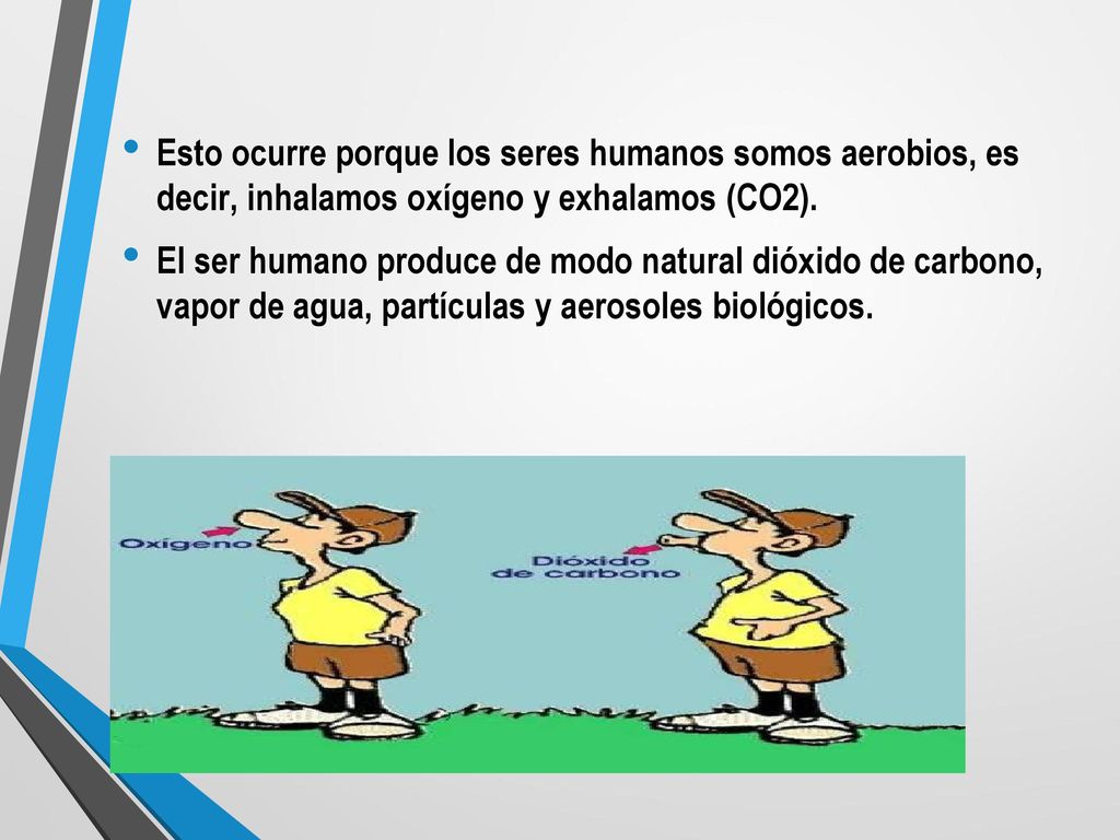 Esto ocurre porque los seres humanos somos aerobios, es decir, inhalamos oxígeno y exhalamos (CO2).