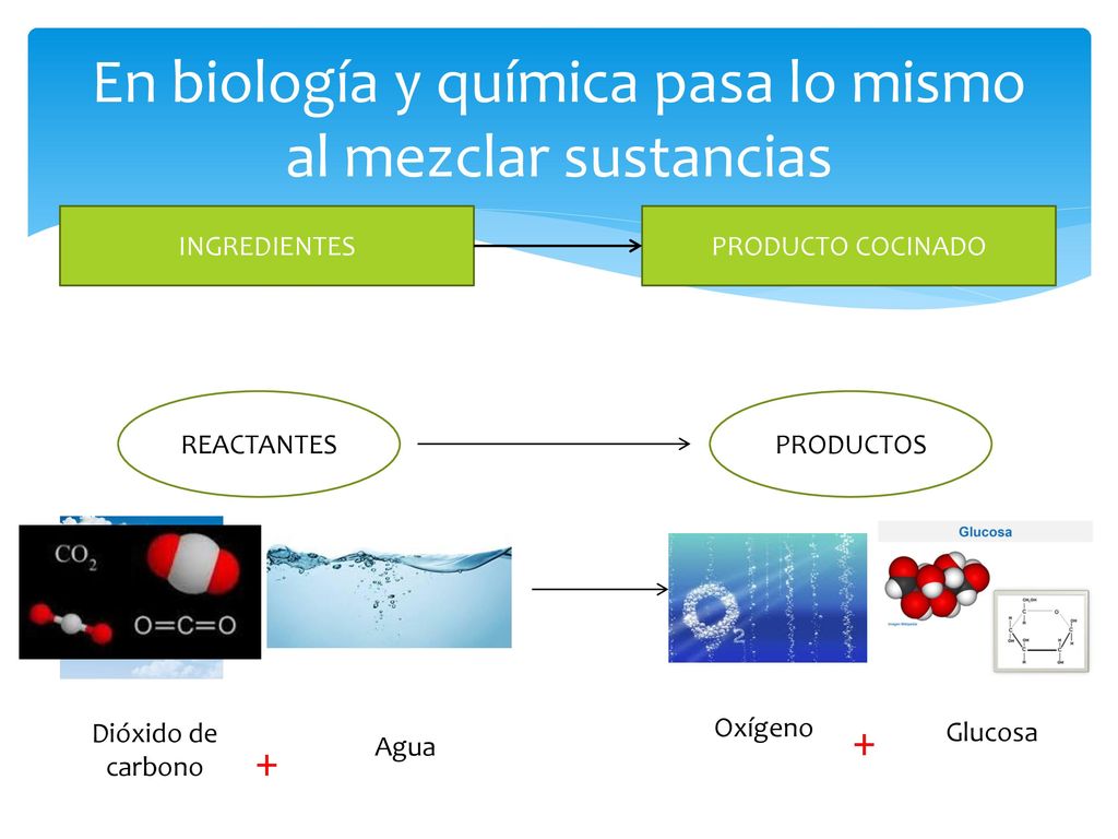 En biología y química pasa lo mismo al mezclar sustancias