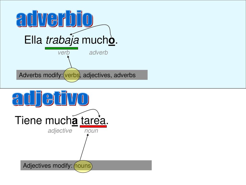 adverbio adjetivo Ella trabaja mucho. Tiene mucha tarea. verb adverb