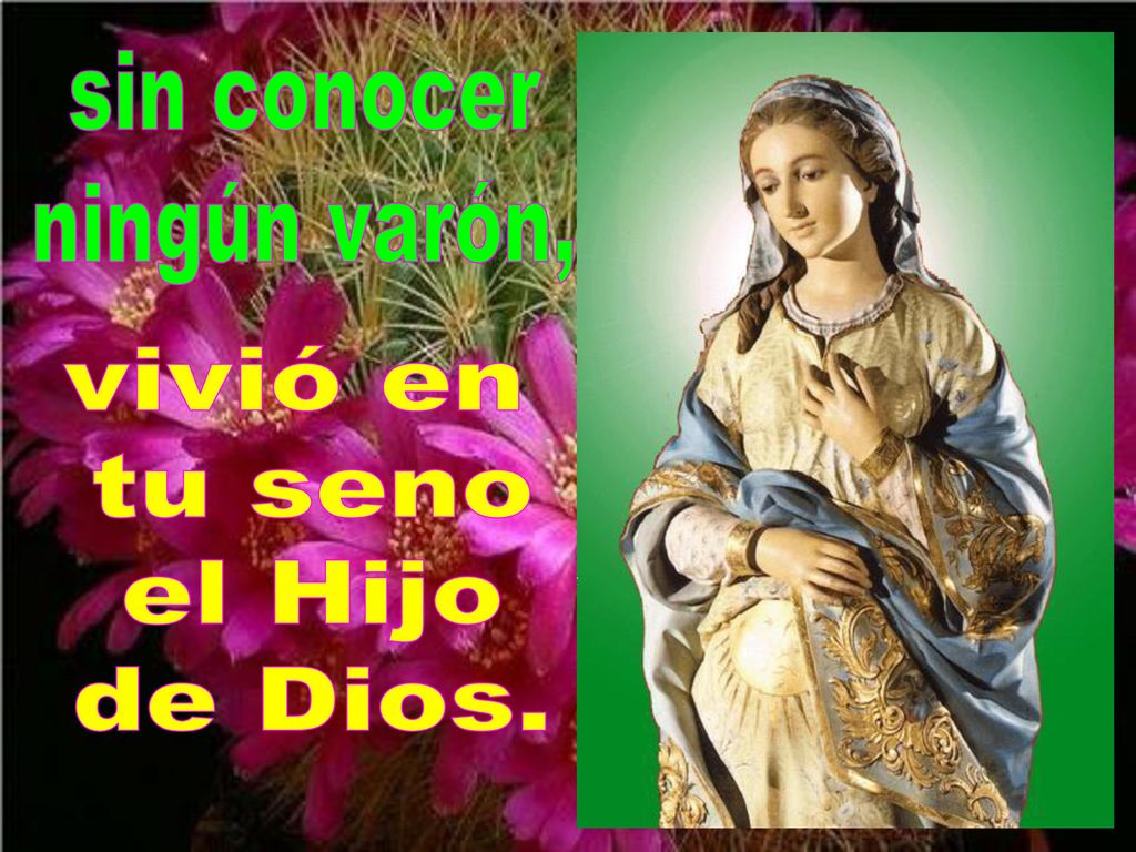 sin conocer ningún varón, vivió en tu seno el Hijo de Dios.