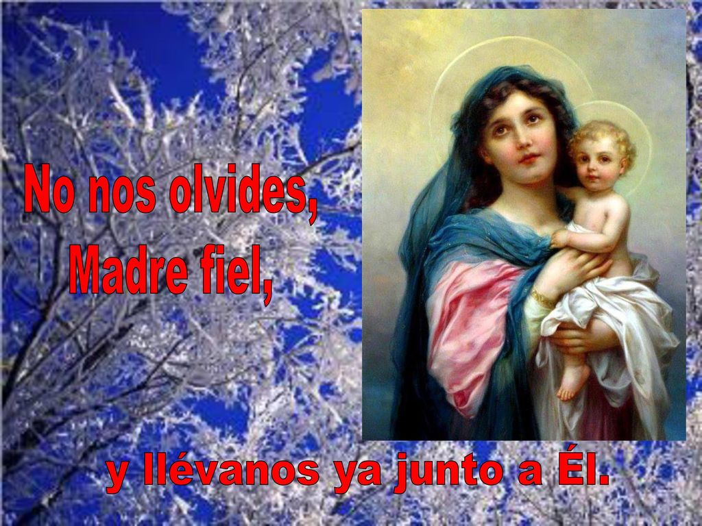 No nos olvides, Madre fiel, y llévanos ya junto a Él.