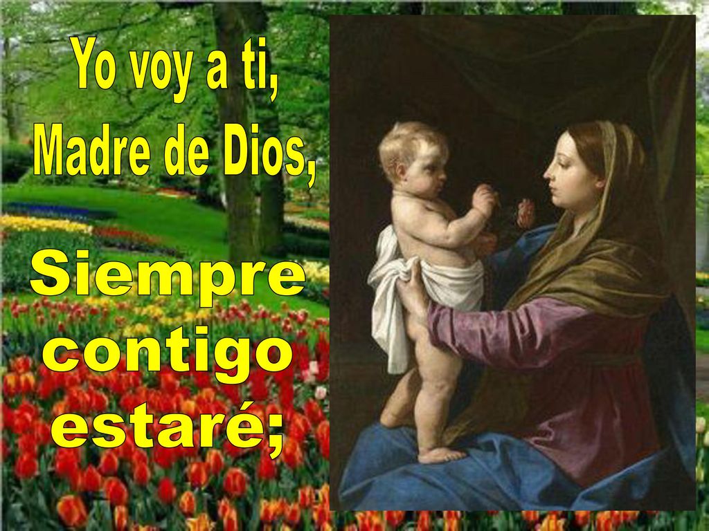 Yo voy a ti, Madre de Dios, Siempre contigo estaré;