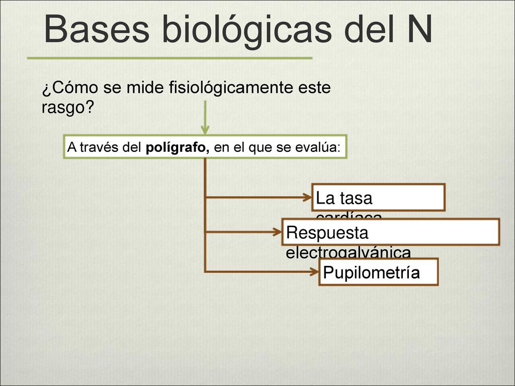 Bases biológicas del N ¿Cómo se mide fisiológicamente este rasgo