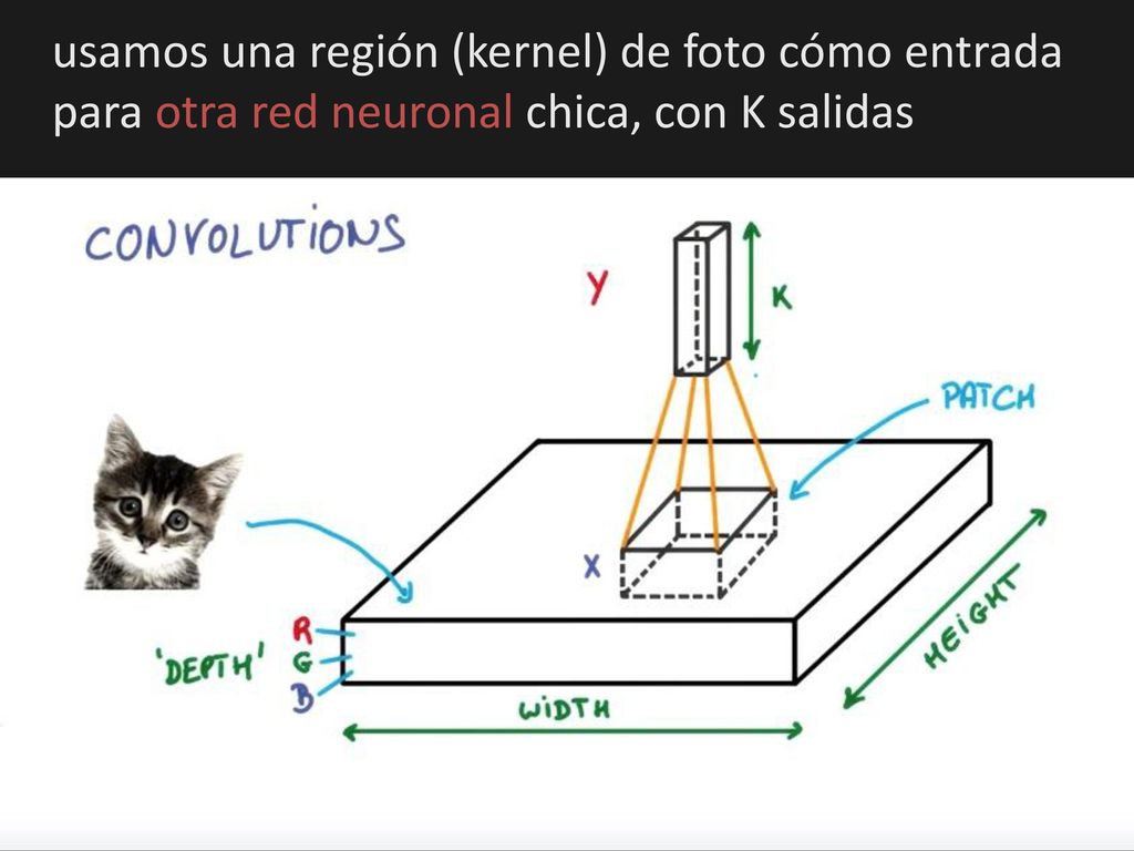 usamos una región (kernel) de foto cómo entrada para otra red neuronal chica, con K salidas