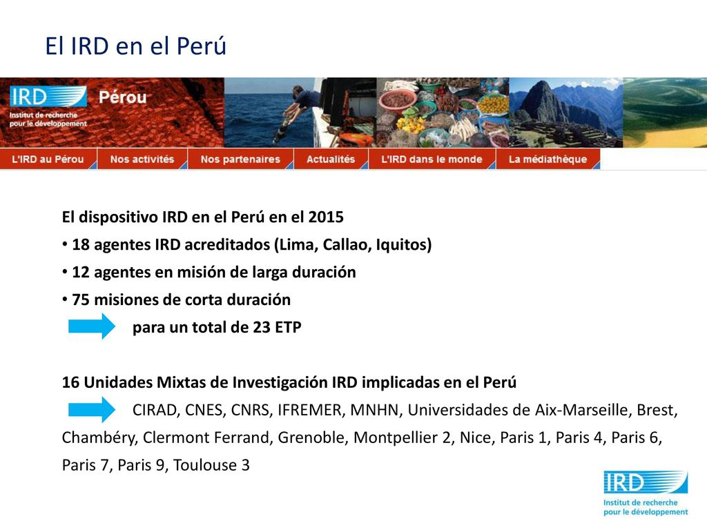 El IRD en el Perú El dispositivo IRD en el Perú en el 2015