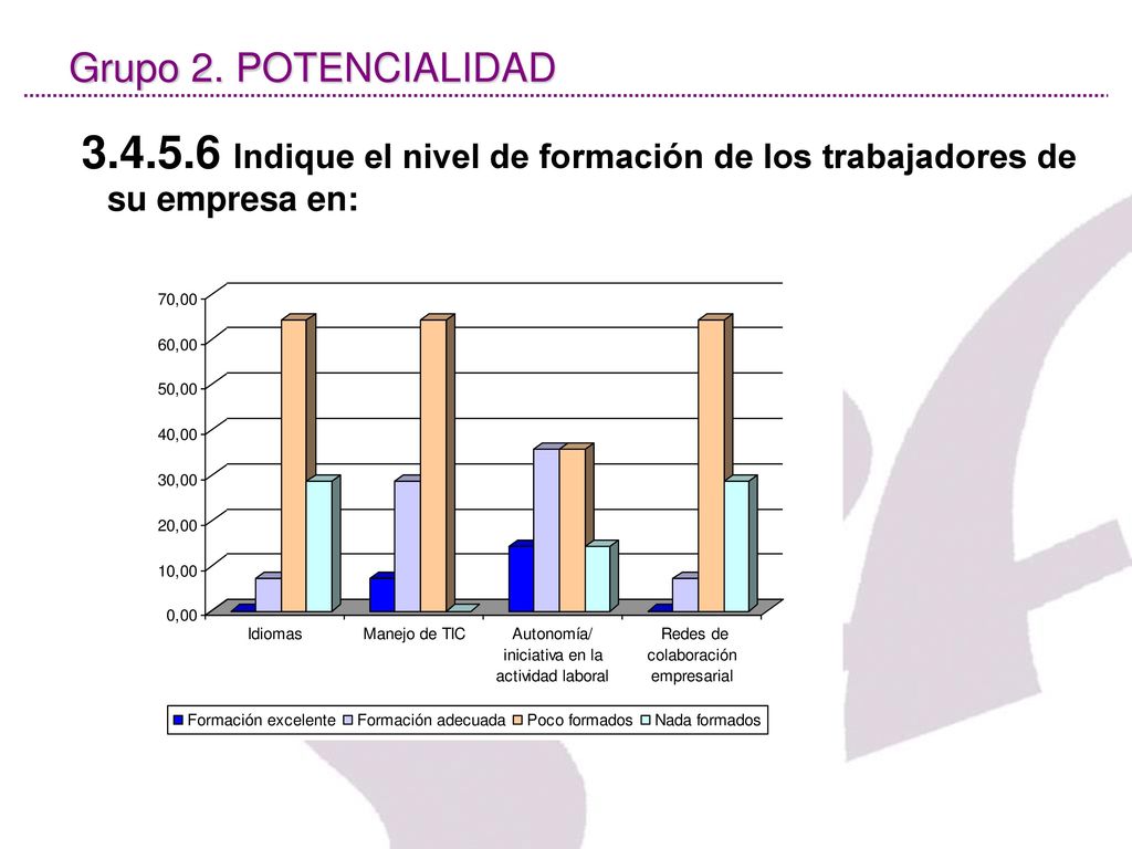 Grupo 2. POTENCIALIDAD Indique el nivel de formación de los trabajadores de su empresa en:
