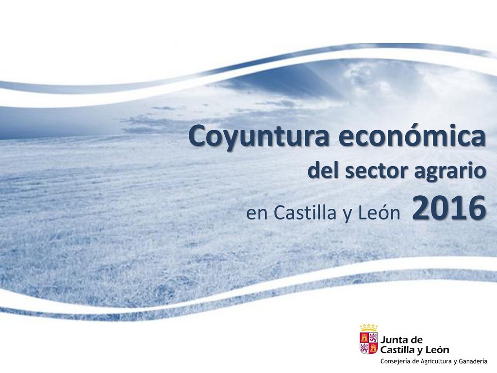 Coyuntura económica del sector agrario en Castilla y León 2016
