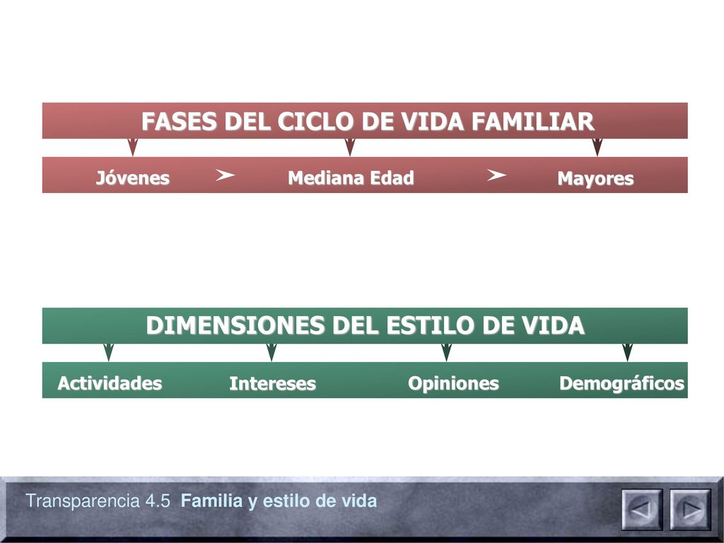FASES DEL CICLO DE VIDA FAMILIAR DIMENSIONES DEL ESTILO DE VIDA
