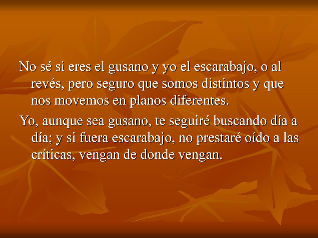 No sé si eres el gusano y yo el escarabajo, o al revés, pero seguro que somos distintos y que nos movemos en planos diferentes.