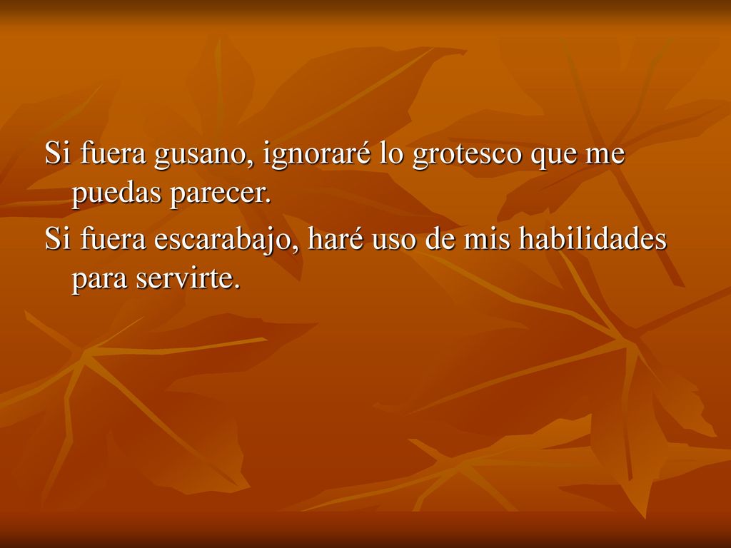 Si fuera gusano, ignoraré lo grotesco que me puedas parecer.