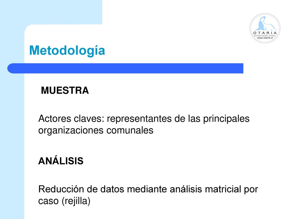 Metodología MUESTRA. Actores claves: representantes de las principales organizaciones comunales. ANÁLISIS.
