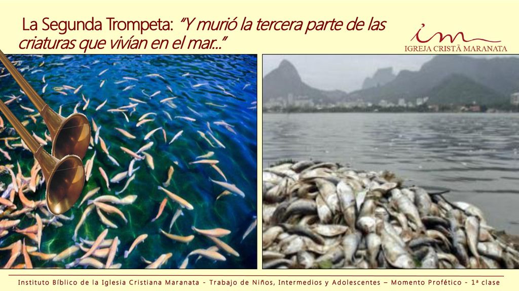 La Segunda Trompeta: Y murió la tercera parte de las criaturas que vivían en el mar...