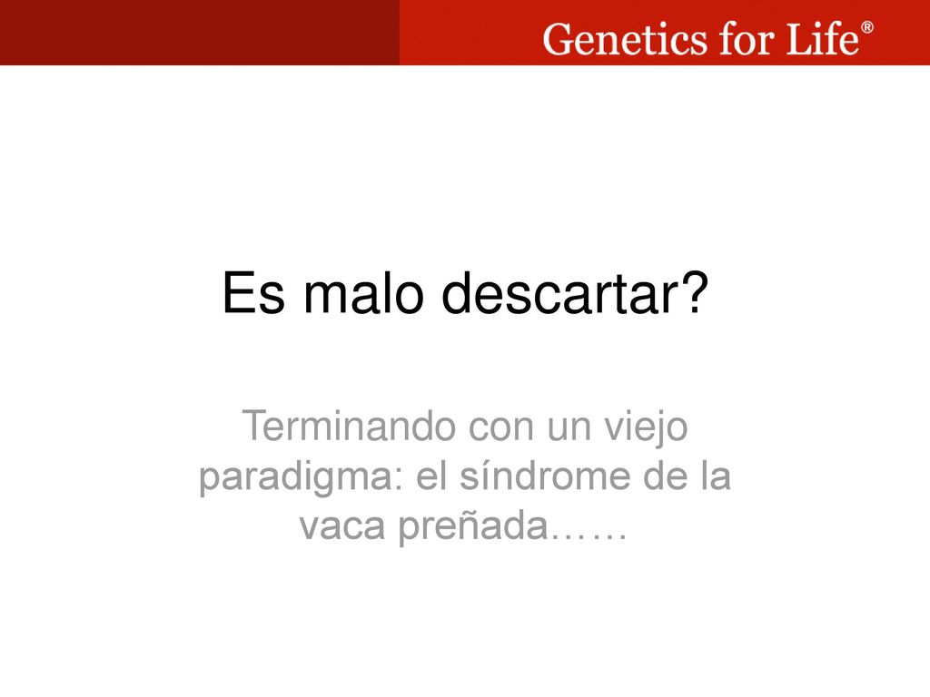 Terminando con un viejo paradigma: el síndrome de la vaca preñada……