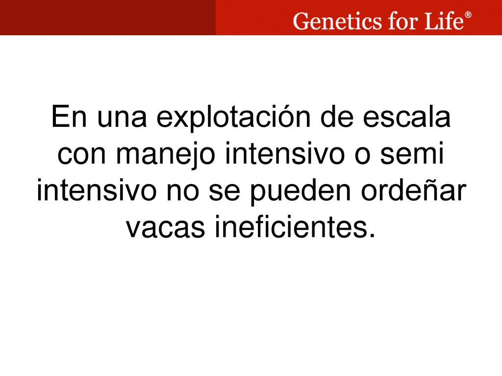 En una explotación de escala con manejo intensivo o semi intensivo no se pueden ordeñar vacas ineficientes.