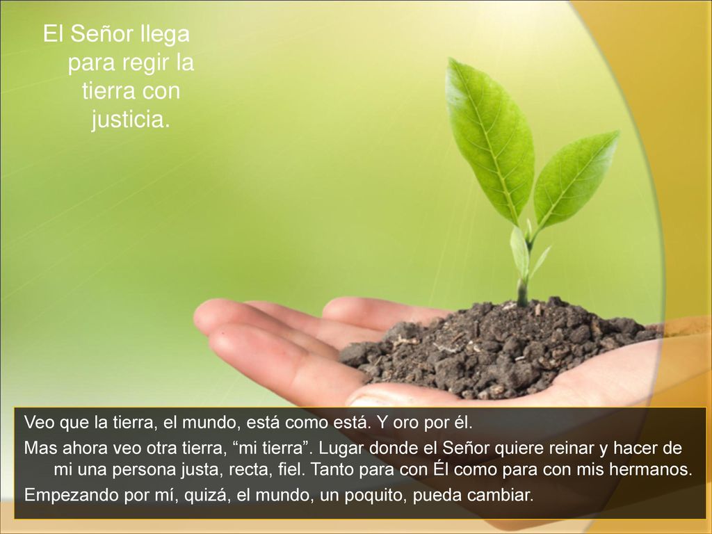 El Señor llega para regir la tierra con justicia.