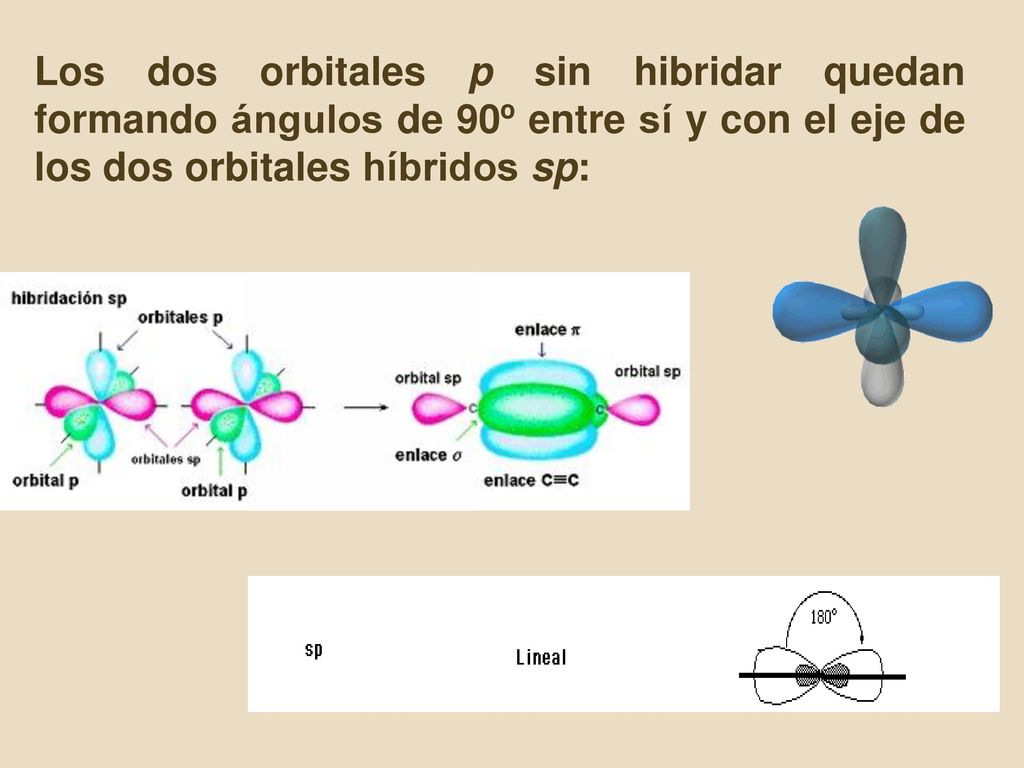 Los dos orbitales p sin hibridar quedan formando ángulos de 90º entre sí y con el eje de los dos orbitales híbridos sp: