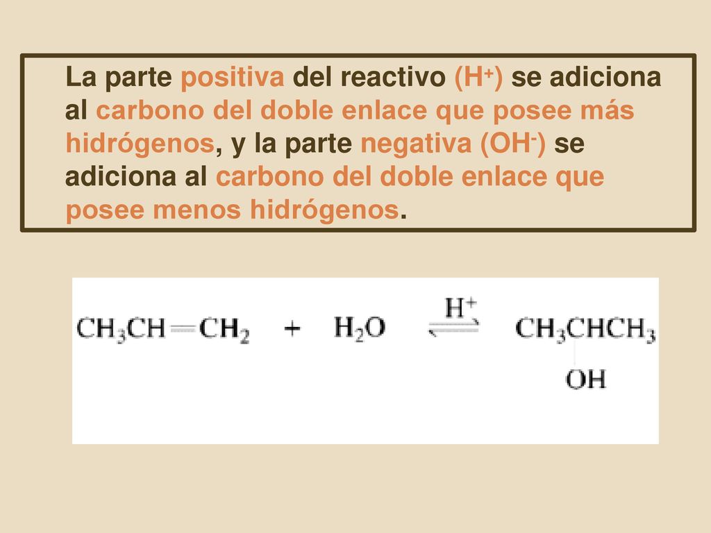 La parte positiva del reactivo (H+) se adiciona al carbono del doble enlace que posee más hidrógenos, y la parte negativa (OH-) se adiciona al carbono del doble enlace que posee menos hidrógenos.