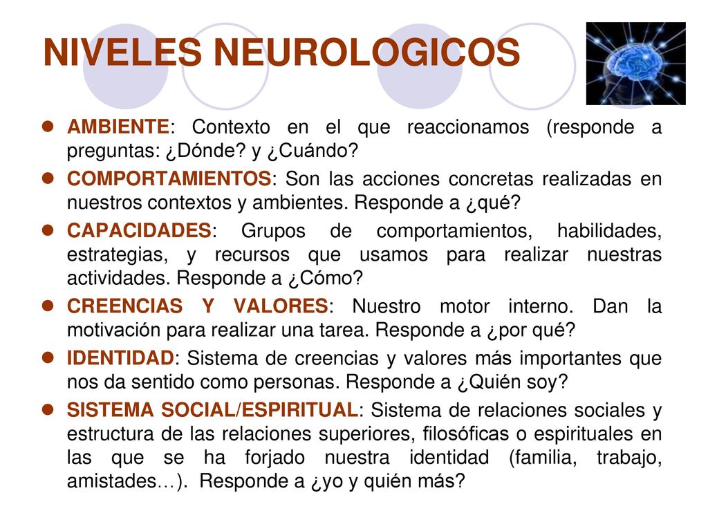 NIVELES NEUROLOGICOS AMBIENTE: Contexto en el que reaccionamos (responde a preguntas: ¿Dónde y ¿Cuándo