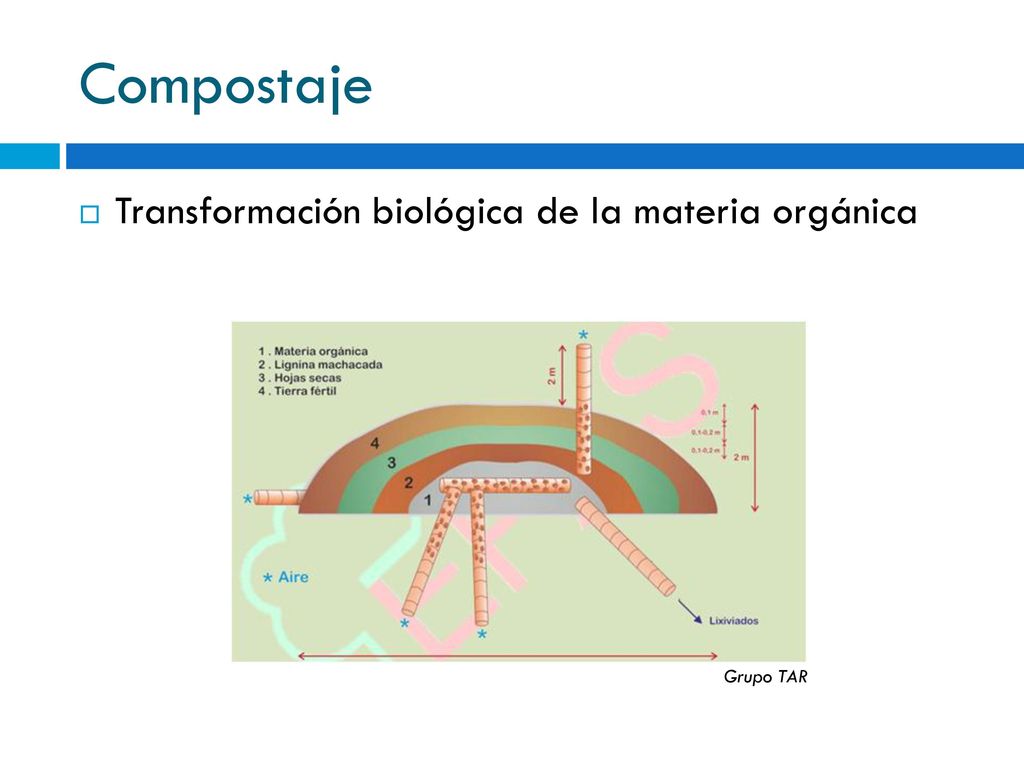 Compostaje Transformación biológica de la materia orgánica Grupo TAR