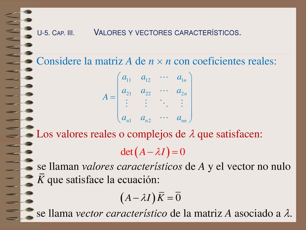 Considere la matriz A de n  n con coeficientes reales: