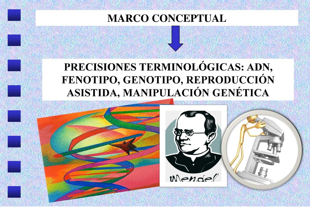 MARCO CONCEPTUAL PRECISIONES TERMINOLÓGICAS: ADN, FENOTIPO, GENOTIPO, REPRODUCCIÓN ASISTIDA, MANIPULACIÓN GENÉTICA.