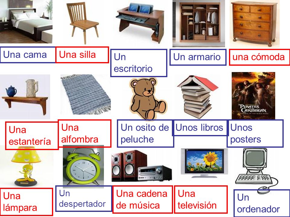 Una cama Una silla Un escritorio Un armario una cómoda Una alfombra